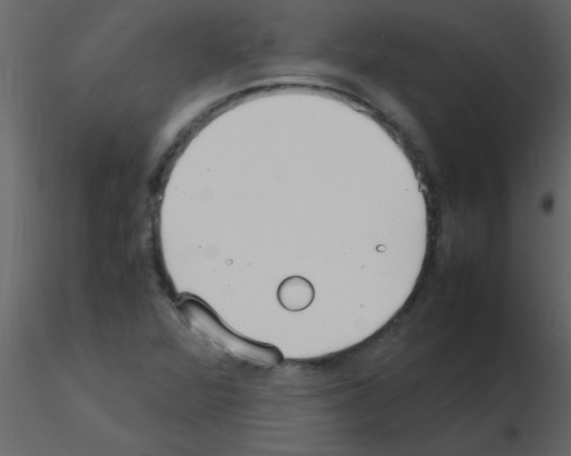 X0000115741360200912241638