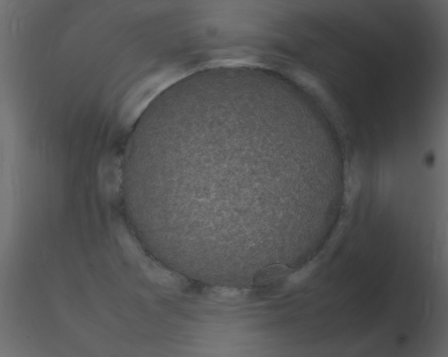 X0000115741361200912241638