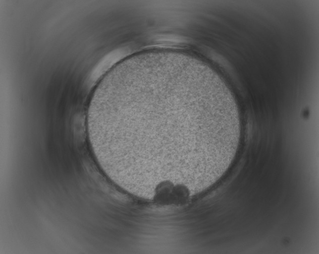 X0000115741362200912241638