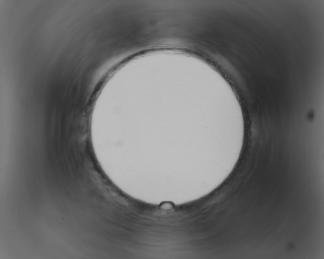 X0000115741364200912241638