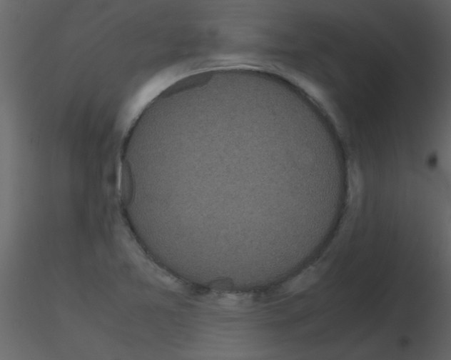 X0000115741365200912241638