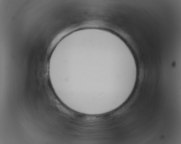 X0000115741366200912241638