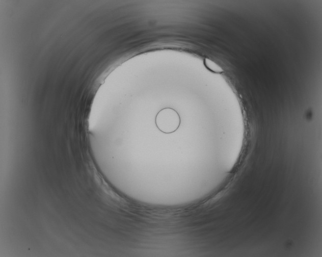 X0000115741369200912241638