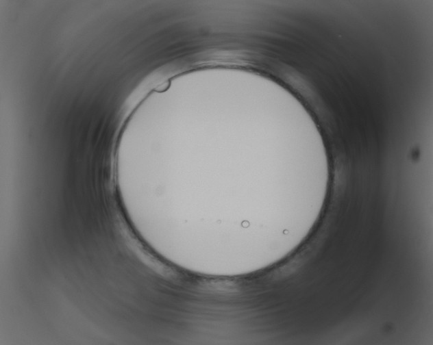 X0000115741370200912241638