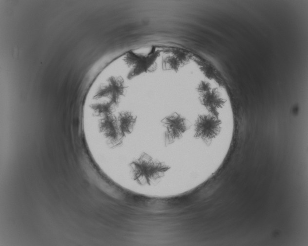 X0000115741371200912241638