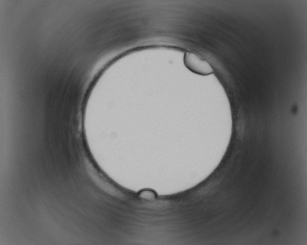 X0000115741372200912241638