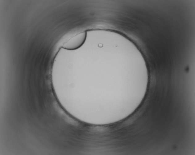 X0000115741374200912241638