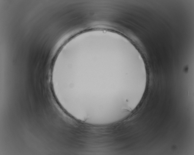 X0000115741376200912241638