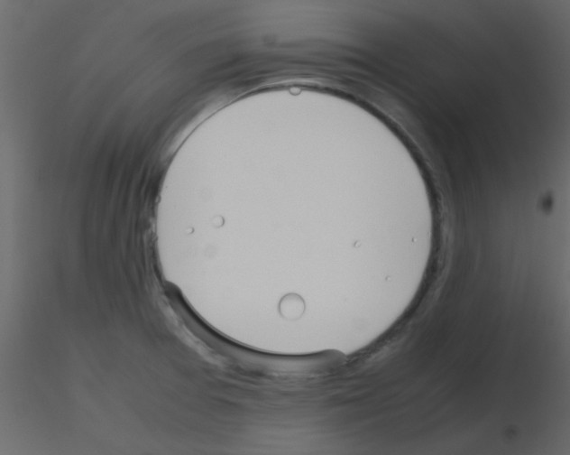 X0000115741377200912241638