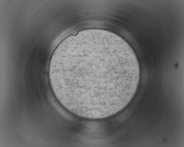 X0000115741378200912241638