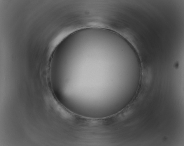 X0000115741381200912241638