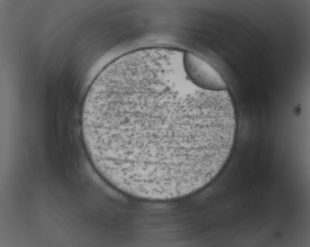 X0000115741382200912241638