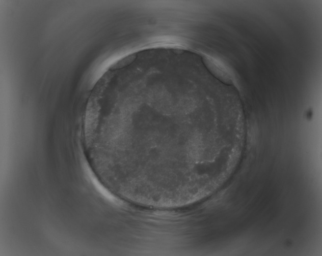 X0000115741383200912241638