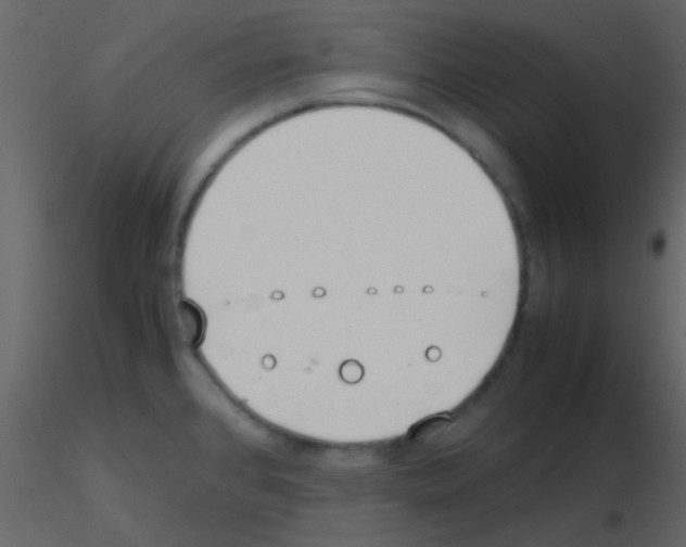 X0000115741384200912241638