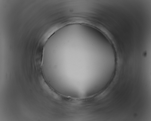 X0000115741385200912241638