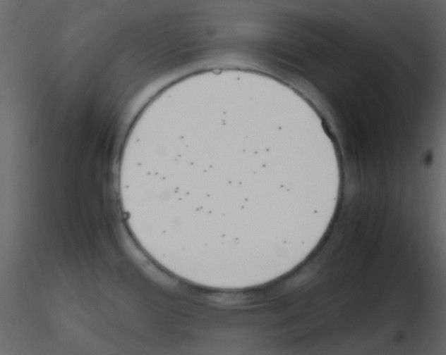 X0000115741388200912241638