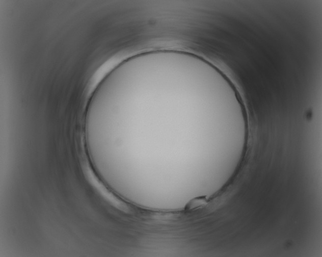 X0000115741389200912241638