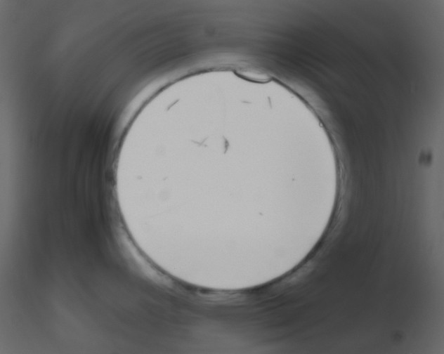 X0000115741392200912241638