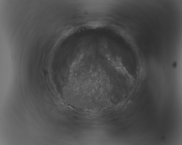 X0000115741393200912241637