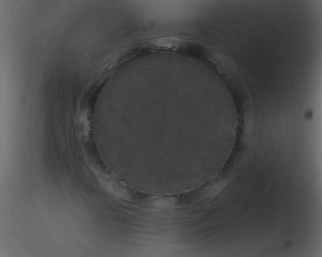 X0000115741394200912241637