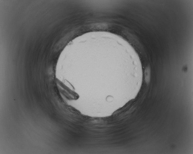 X0000115741395200912241637