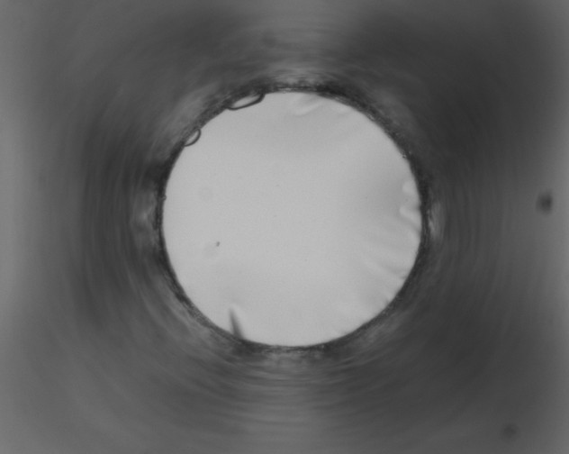 X0000115741396200912241637