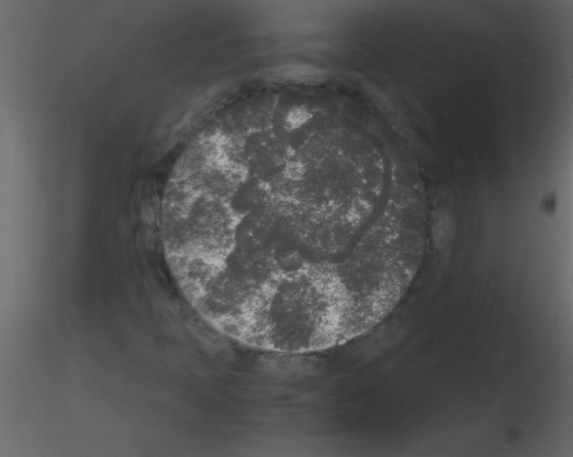 X0000115741397200912241637