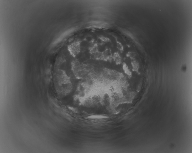 X0000115741399200912241637