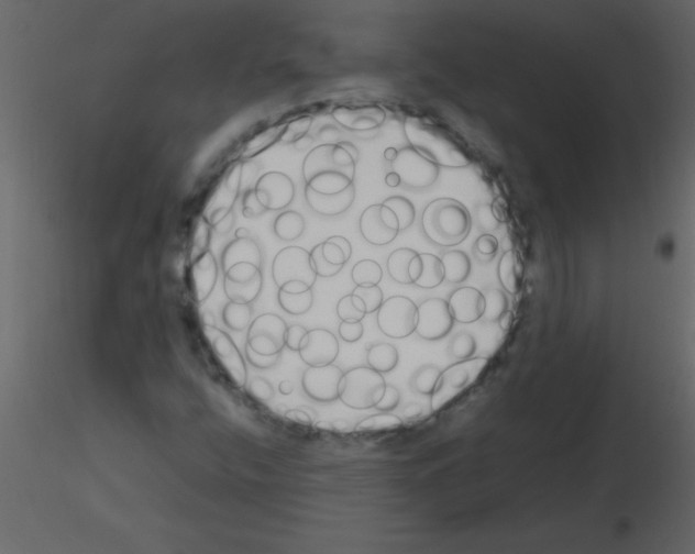 X0000115741400200912241637