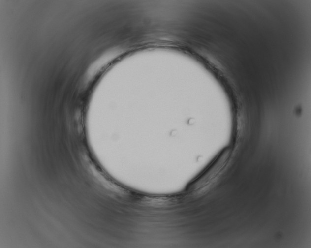 X0000115741402200912241637