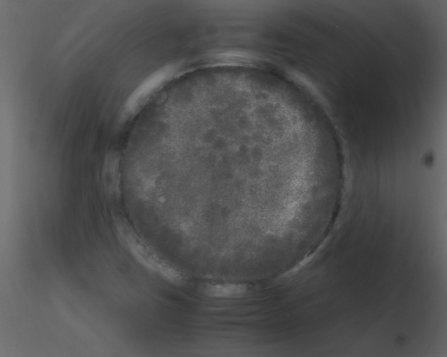 X0000115741403200912241637