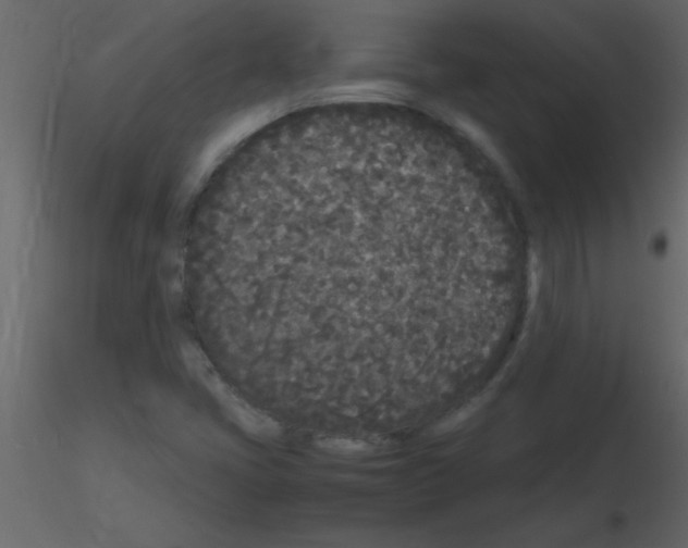 X0000115741405200912241637