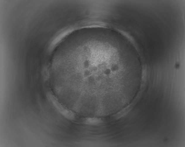 X0000115741407200912241637