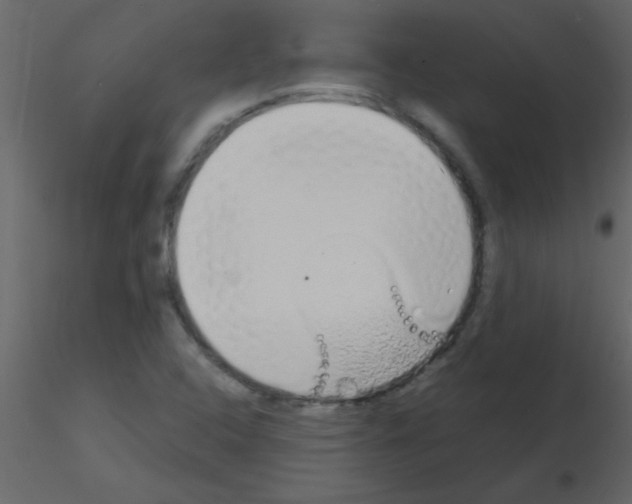 X0000115741408200912241637