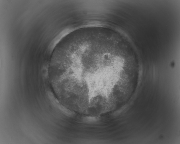 X0000115741409200912241637