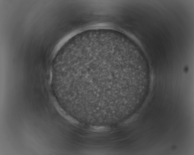 X0000115741413200912241637