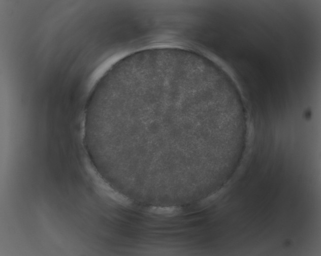 X0000115741415200912241637