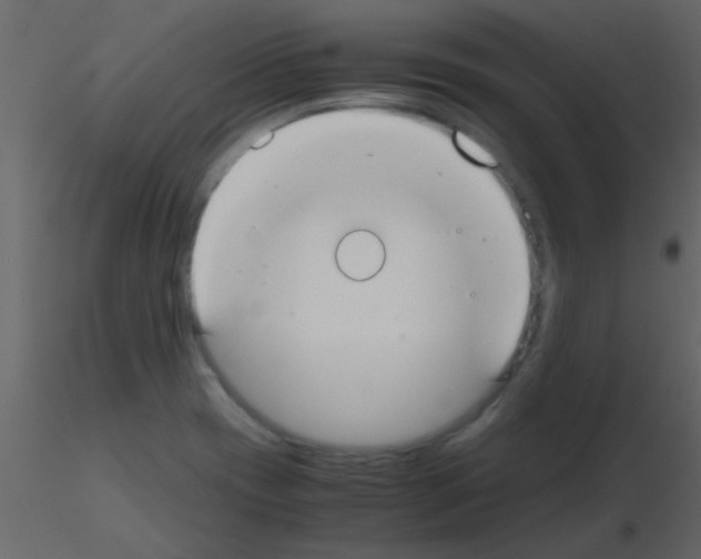 X0000115741417200912241638