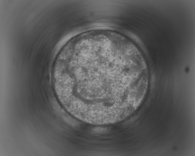 X0000115741419200912241638