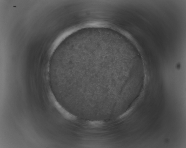 X0000115741421200912241638