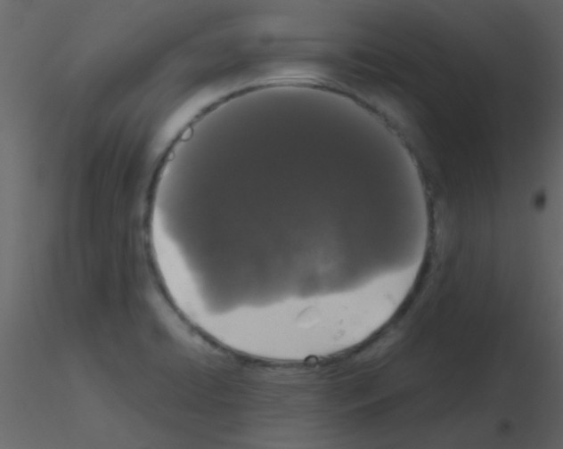 X0000115741422200912241638