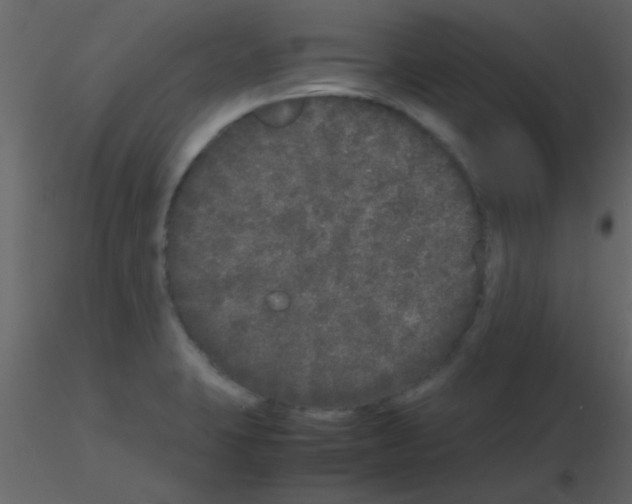 X0000115741423200912241638