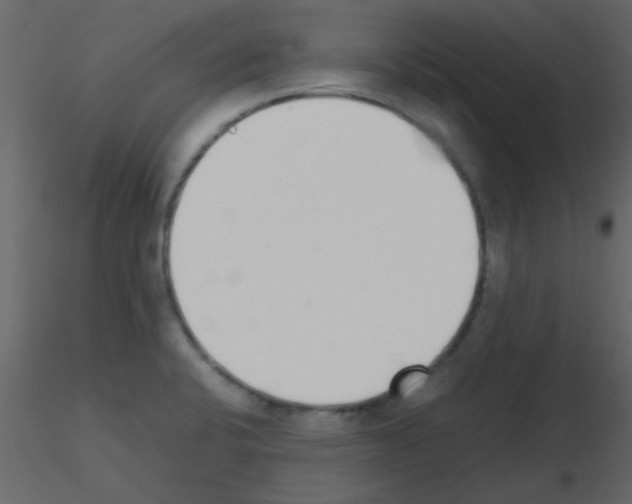 X0000115741424200912241638