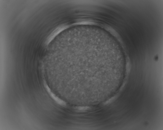 X0000115741425200912241638