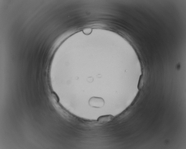 X0000115741426200912241638