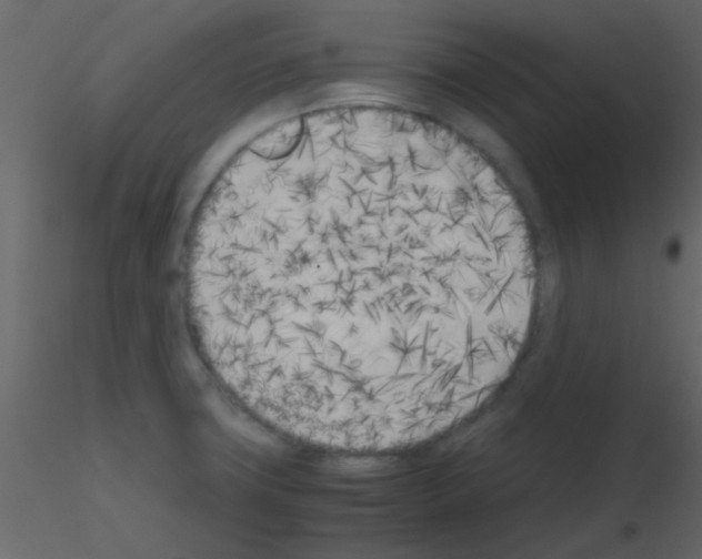 X0000115741427200912241638