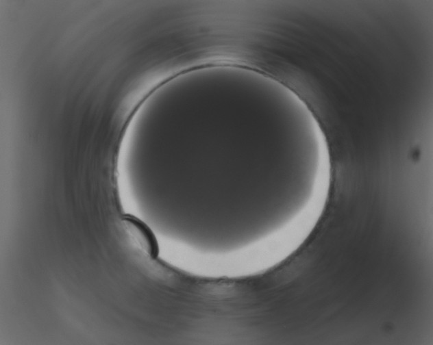 X0000115741428200912241638