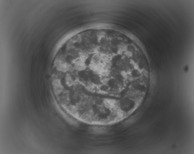 X0000115741429200912241638