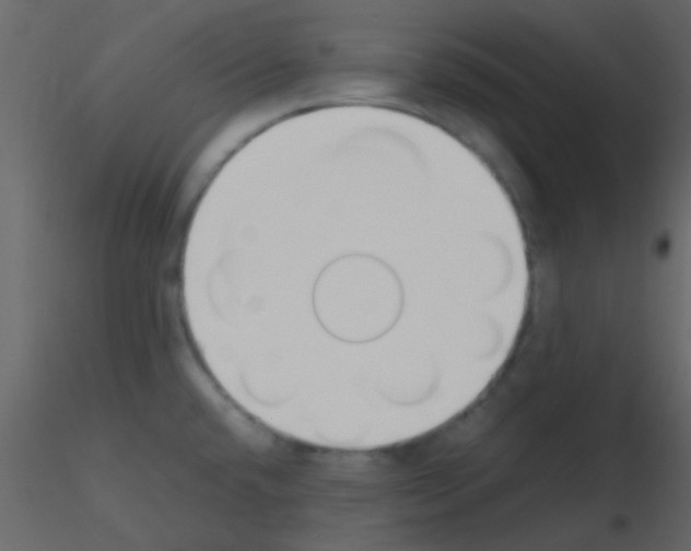 X0000115741432200912241638