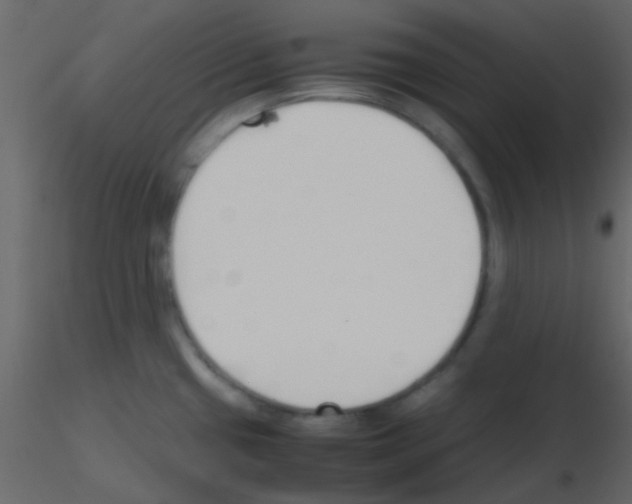 X0000115741433200912241638